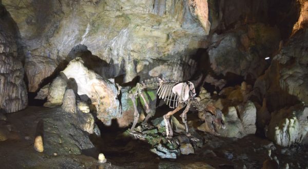 Bärenhöhle Sonnenbühl