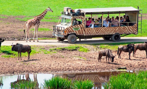 Serengeti-Park Hodenhagen