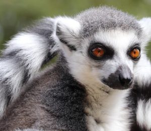 Allwetterzoo Münster