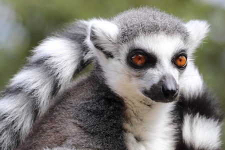 Allwetterzoo Münster