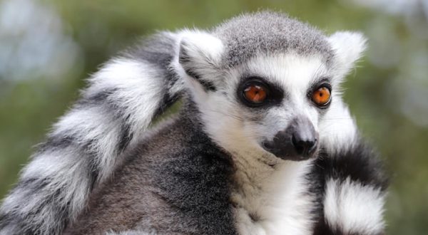 Allwetterzoo Münster